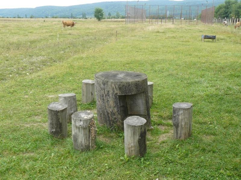 Pensiunea ,,La Struti" Târgu Neamț Esterno foto