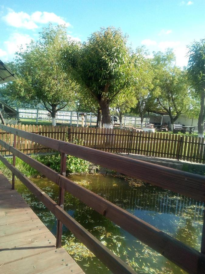 Pensiunea ,,La Struti" Târgu Neamț Esterno foto